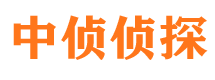 光山婚外情调查取证